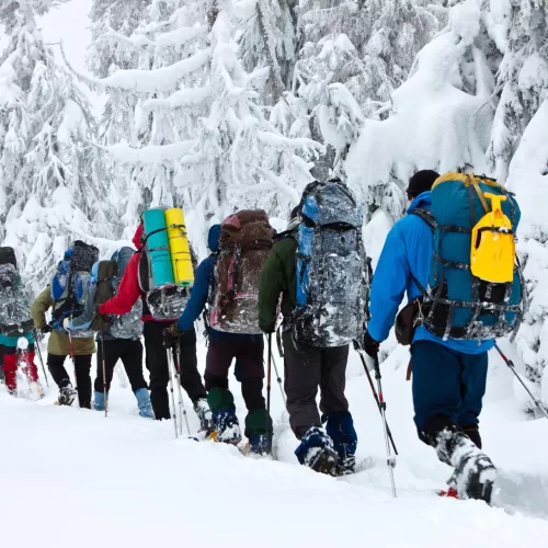 Sur la piste des trappeurs Visuel